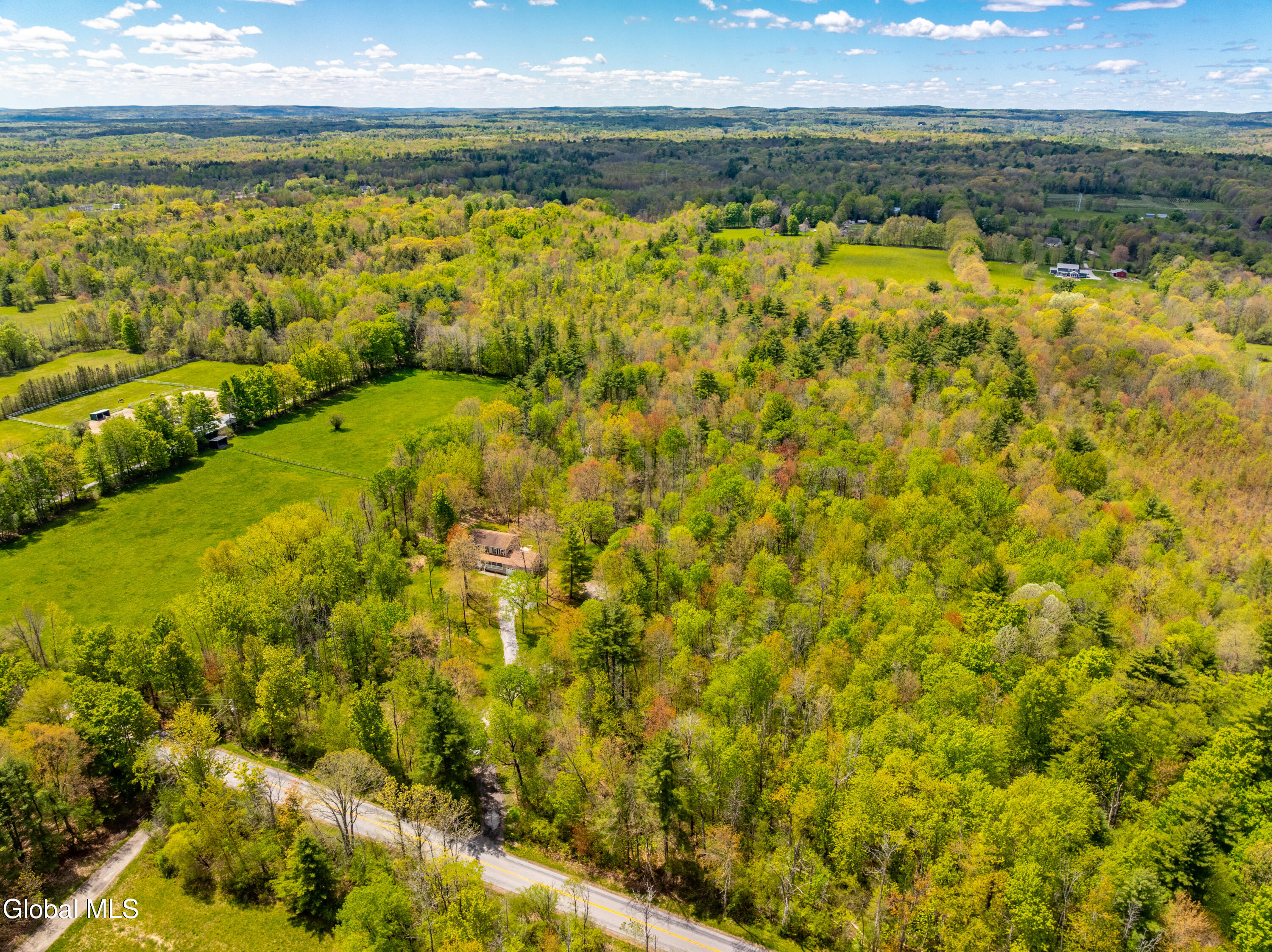 149 White Road Ballston Spa, NY 12020 - Photo 14 of 26 DJI_0424-HDR