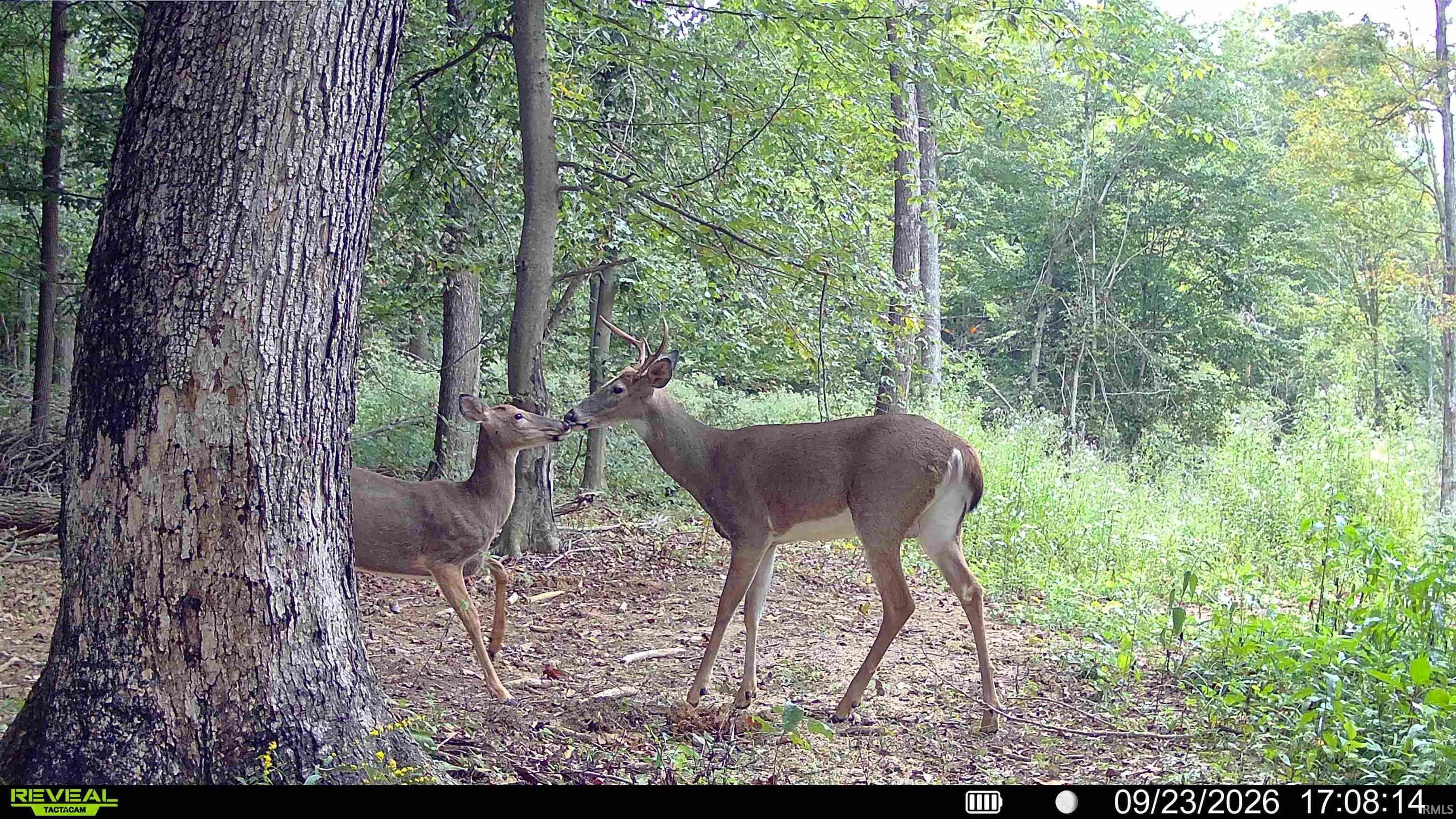 6 Fiscus Cemetery Road Coal City, IN 47427 - Photo 6 of 20 Gallery Image 6