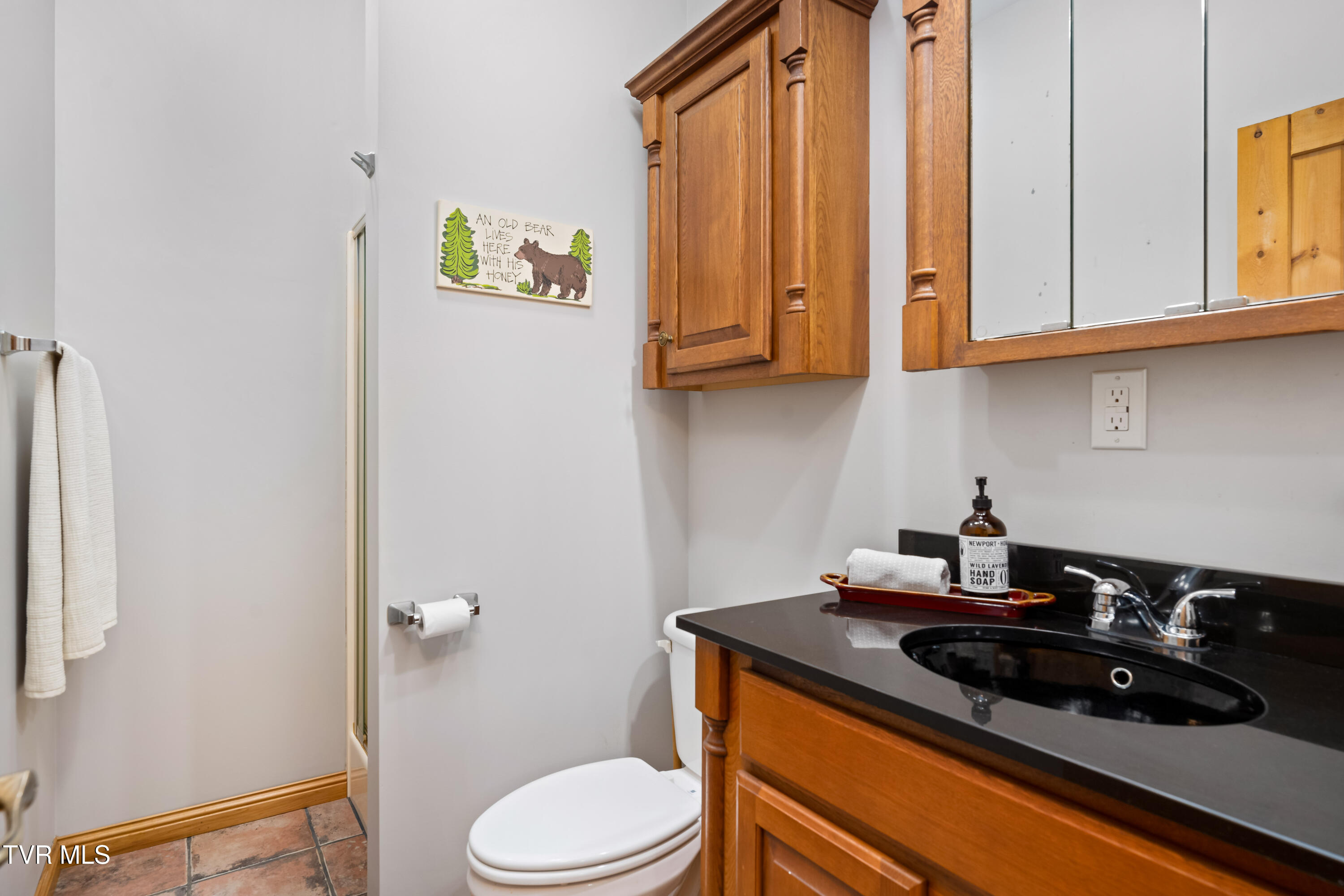 366 Toll Branch Road Johnson City, TN 37601 - Photo 14 of 86 366 Toll Branch Road (71 of 94)