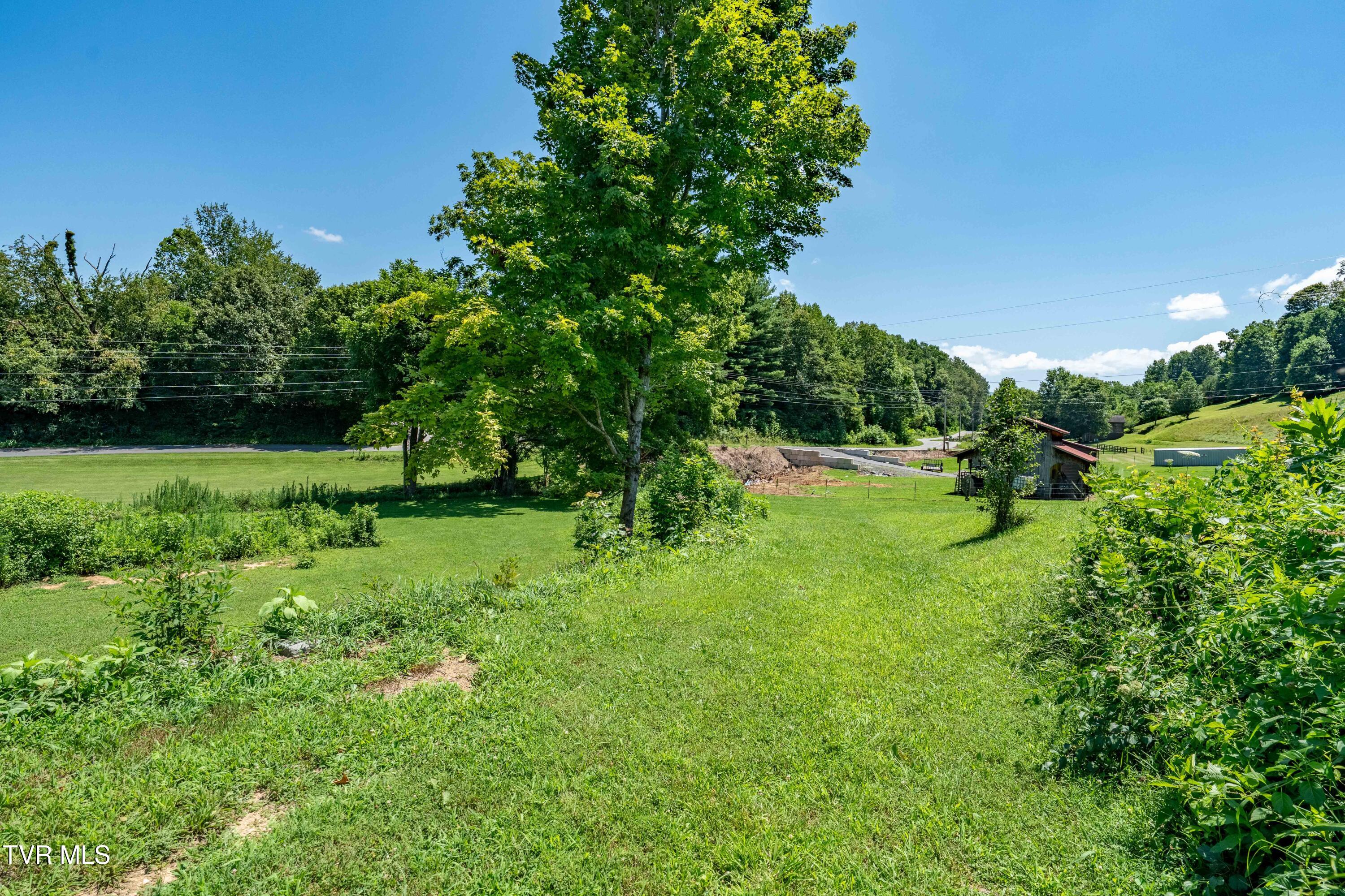 366 Toll Branch Road Johnson City, TN 37601 - Photo 74 of 86 366 Toll Branch Road (43 of 94)