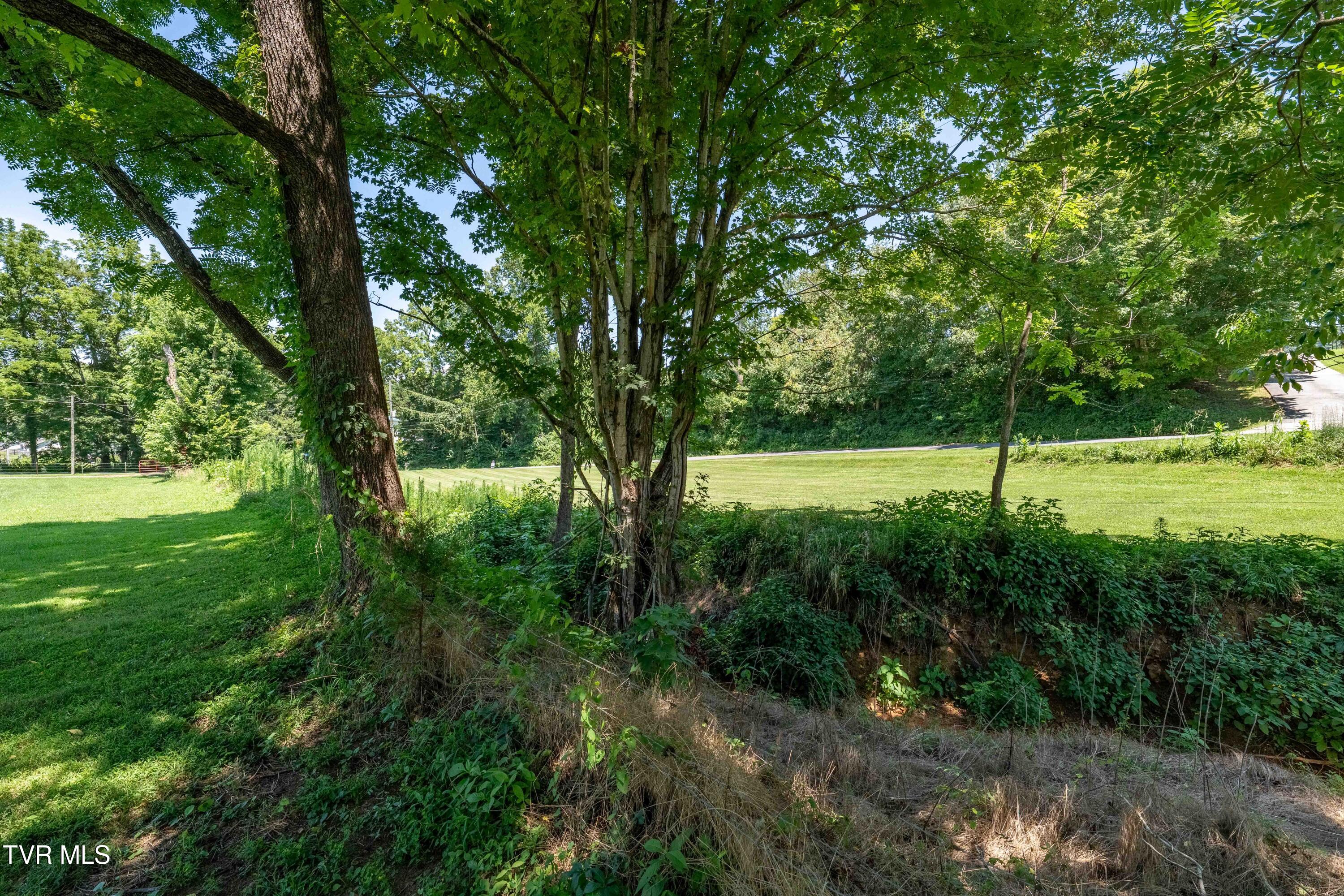 366 Toll Branch Road Johnson City, TN 37601 - Photo 80 of 86 366 Toll Branch Road (49 of 94)