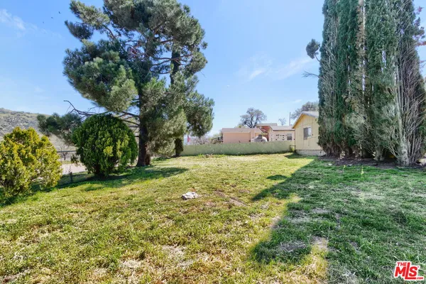 a view of a yard