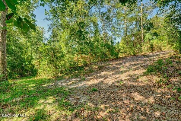 17445 Highway 53 Atkinson, NC 28421 - Photo 40 of 76 m_P5411608_09_10_11_12_13_14