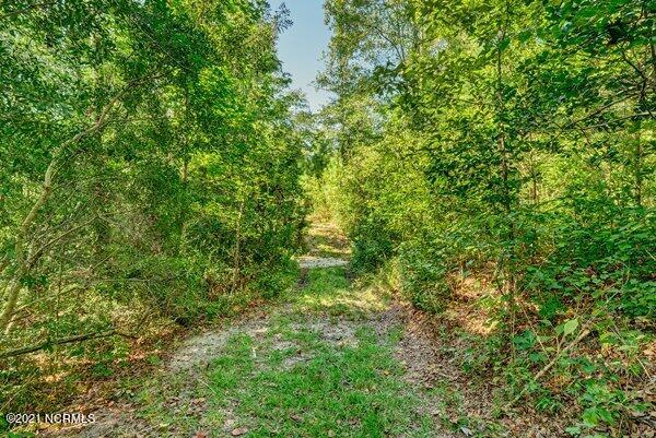 17445 Highway 53 Atkinson, NC 28421 - Photo 41 of 76 m_P5411615_16_17_18_19_20_21