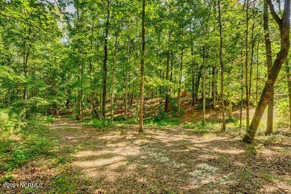 17445 Highway 53 Atkinson, NC 28421 - Photo 42 of 76 m_P5411622_3_4_5_6_7_8