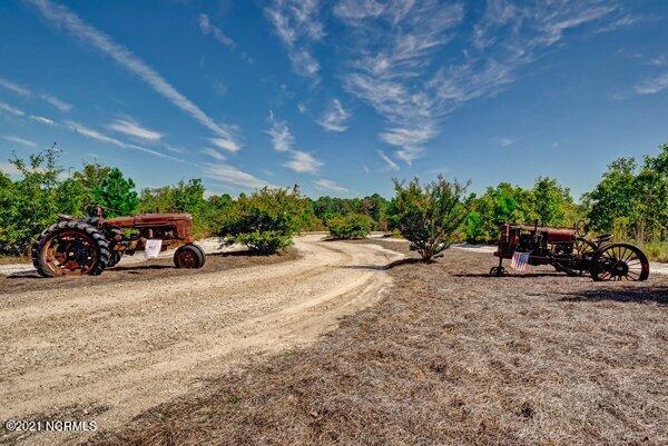 17445 Highway 53 Atkinson, NC 28421 - Photo 57 of 76 m_P5411734_35_36_37_38_39_40
