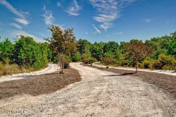 17445 Highway 53 Atkinson, NC 28421 - Photo 58 of 76 m_P5411741_2_3_4_5_6_7