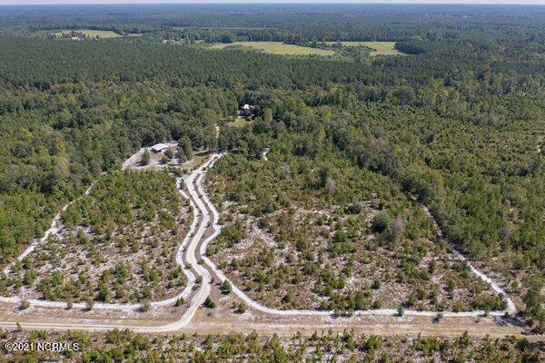 17445 Highway 53 Atkinson, NC 28421 - Photo 59 of 76 m_DJI_0247