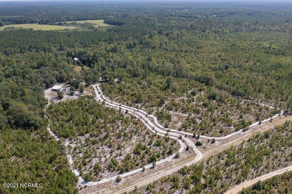 17445 Highway 53 Atkinson, NC 28421 - Photo 61 of 76 m_DJI_0248