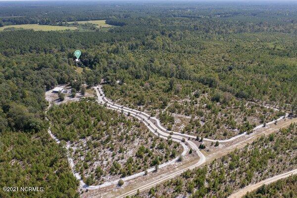 17445 Highway 53 Atkinson, NC 28421 - Photo 62 of 76 m_DJI_0248_1