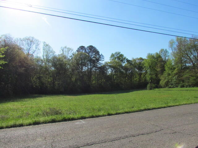 Lot #1 Old Dunlap Road Whitwell, TN 37397 - Photo 1 of 7 Old Dunlap Road Lot#1 154