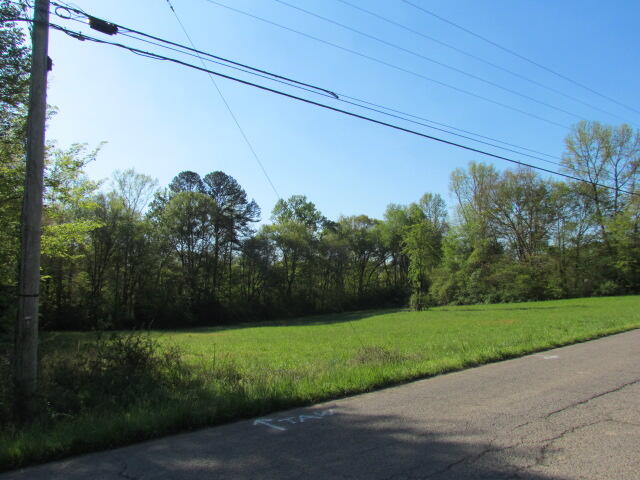 Lot #1 Old Dunlap Road Whitwell, TN 37397 - Photo 2 of 7 Old Dunlap Road Lot#1 155
