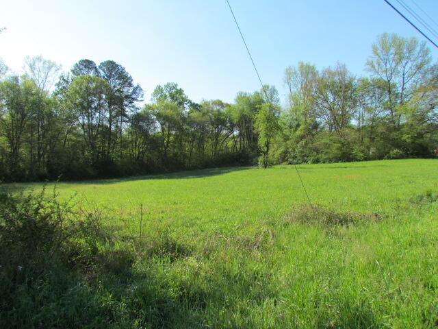 Lot #1 Old Dunlap Road Whitwell, TN 37397 - Photo 4 of 7 Old Dunlap Road Lot#1 157