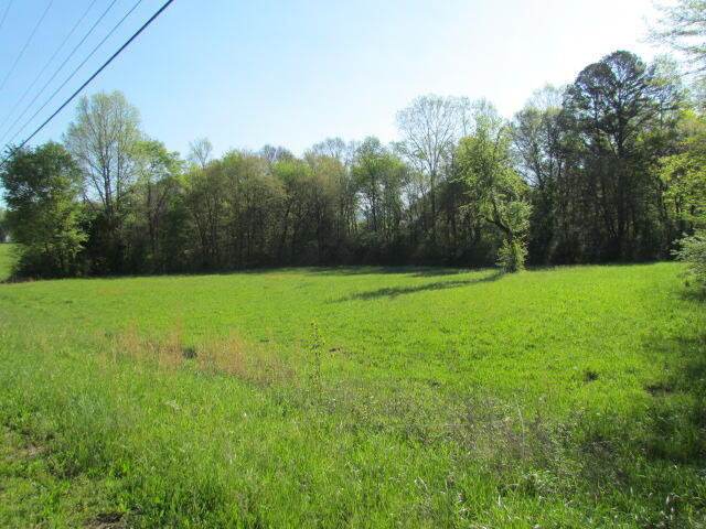 Lot #1 Old Dunlap Road Whitwell, TN 37397 - Photo 6 of 7 Old Dunlap Road Lot#1 159