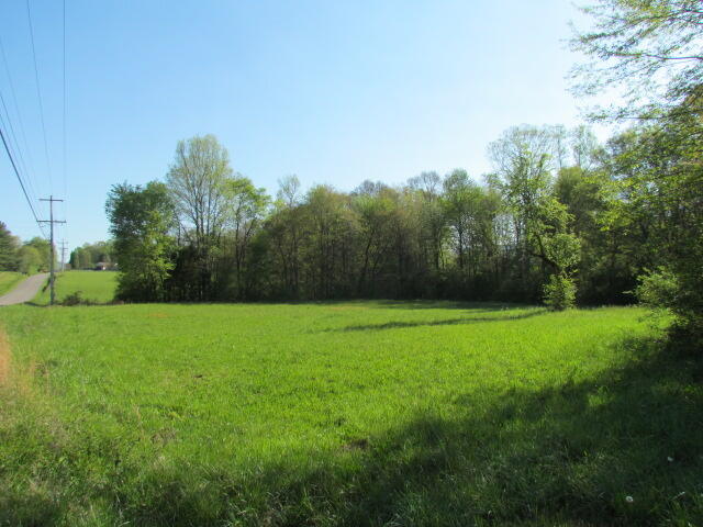Lot #1 Old Dunlap Road Whitwell, TN 37397 - Photo 7 of 7 Old Dunlap Road Lot#1 160