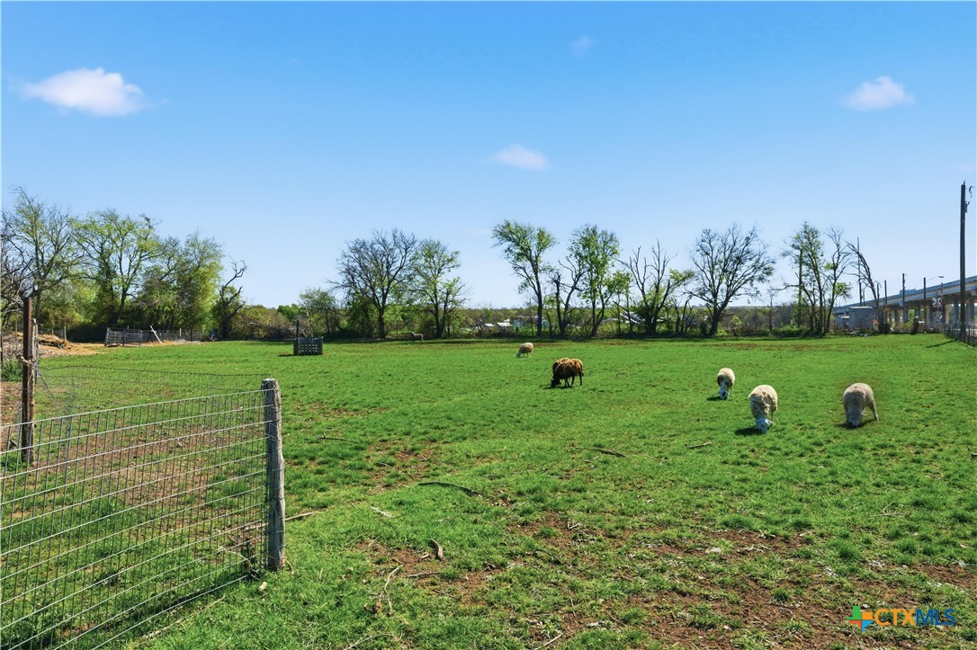 1780 Moores Mill Road Temple, TX 76504 - Photo 3 of 17 a view of a park with large trees