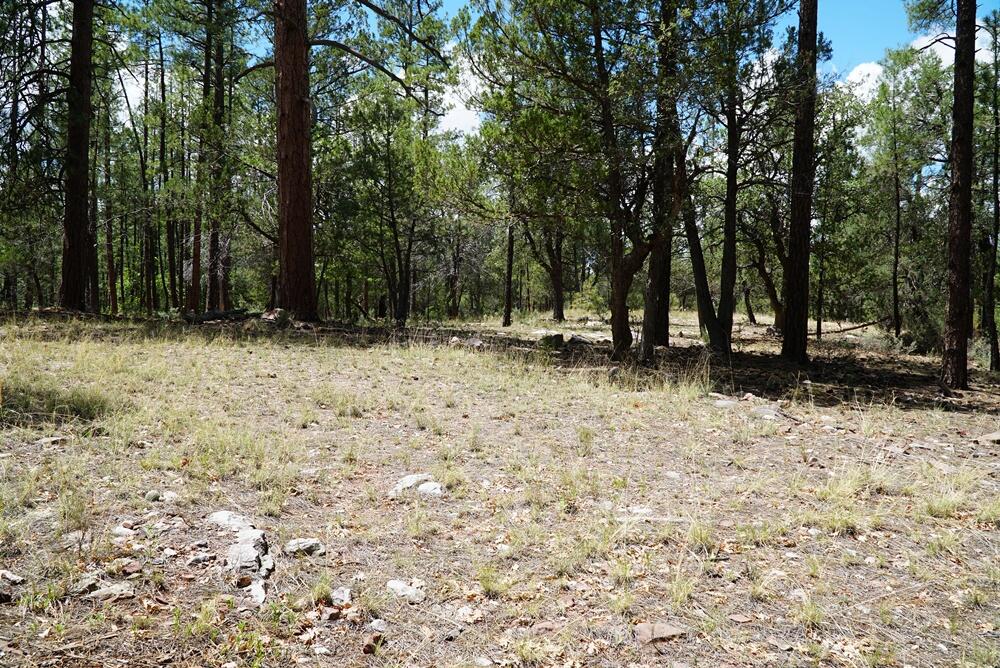 283 Lookout Trail Payson, AZ 85541 - Photo 1 of 10