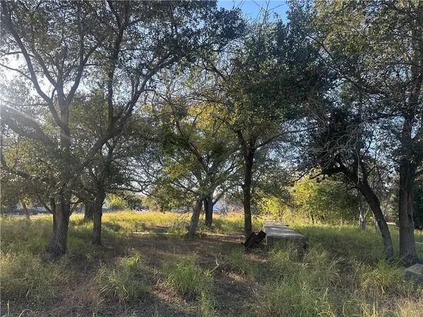 a view of an trees with yard