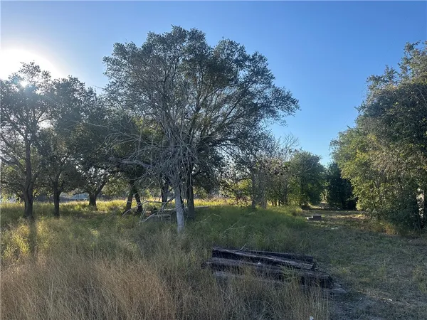 a view of a yard with a tree