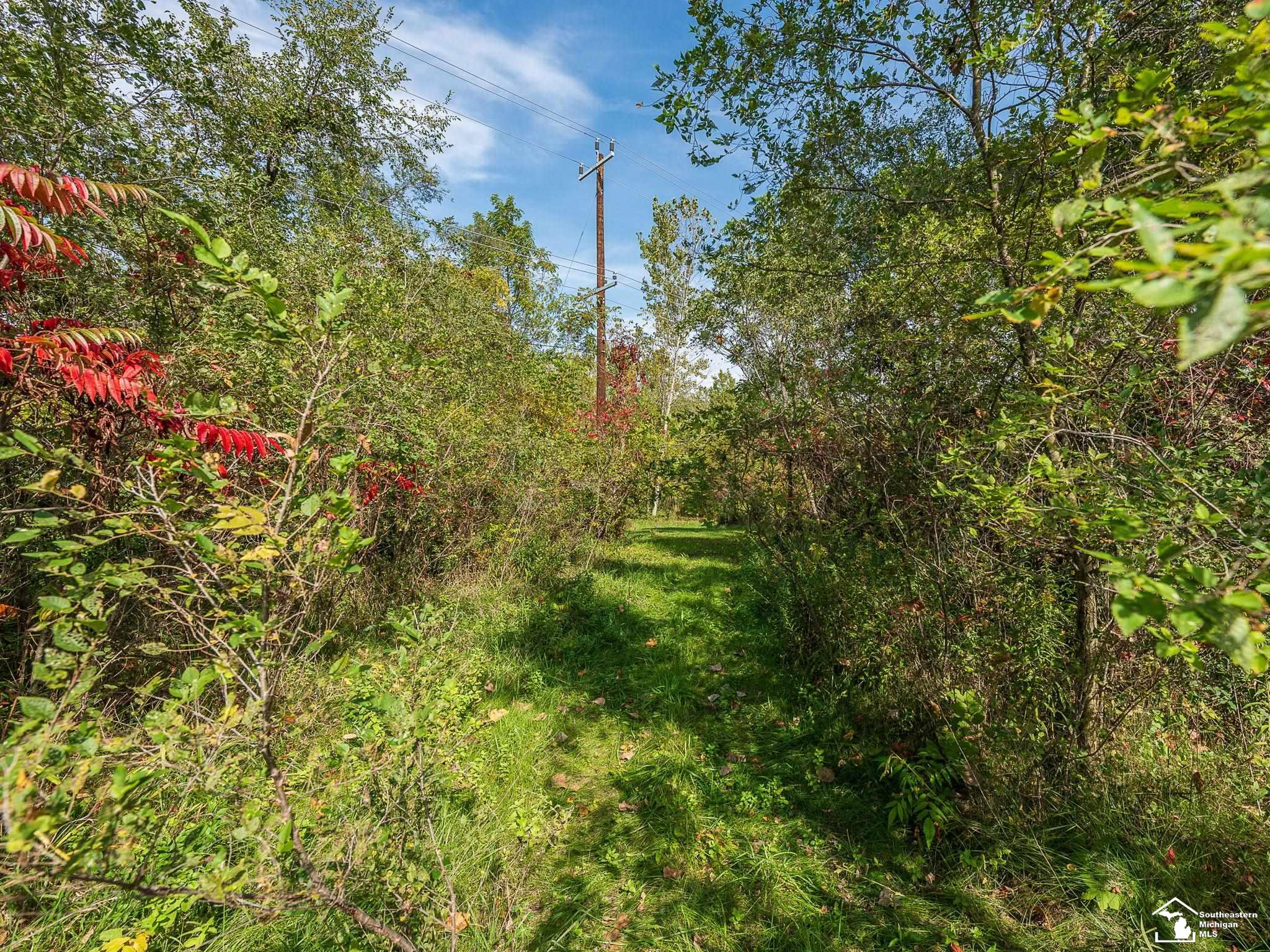 16420 Sherman Road Milan, MI 48160 - Photo 33 of 42