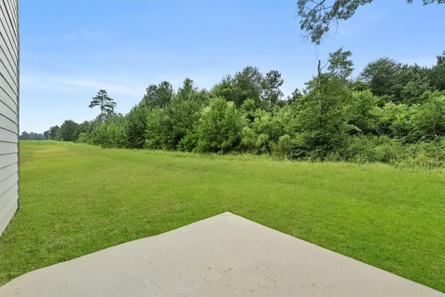 a view of a grassy field with trees