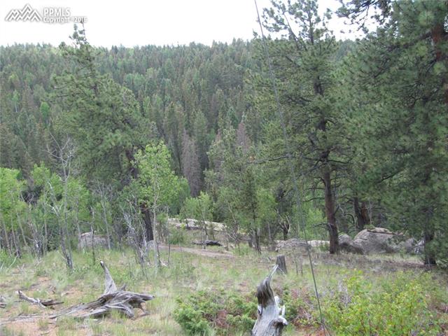 Tbd Arrowhead Road Florissant, CO 80816 - Photo 17 of 17 Gallery Image 17