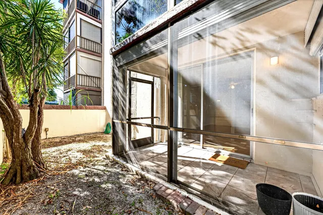 a view of backyard with a large tree and wooden fence