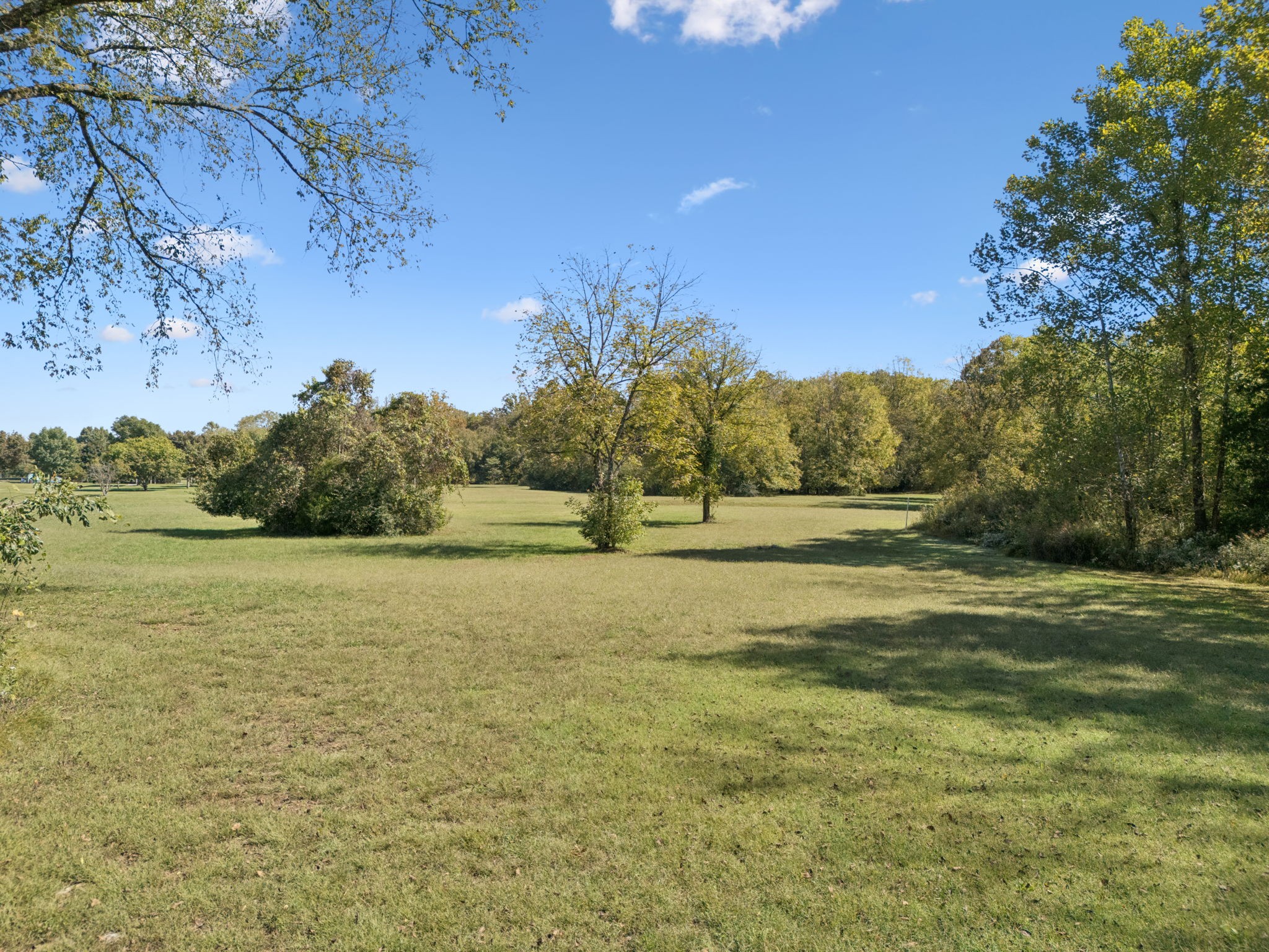 236 Karis Drive Spring Hill, TN 37174 - Photo 47 of 54