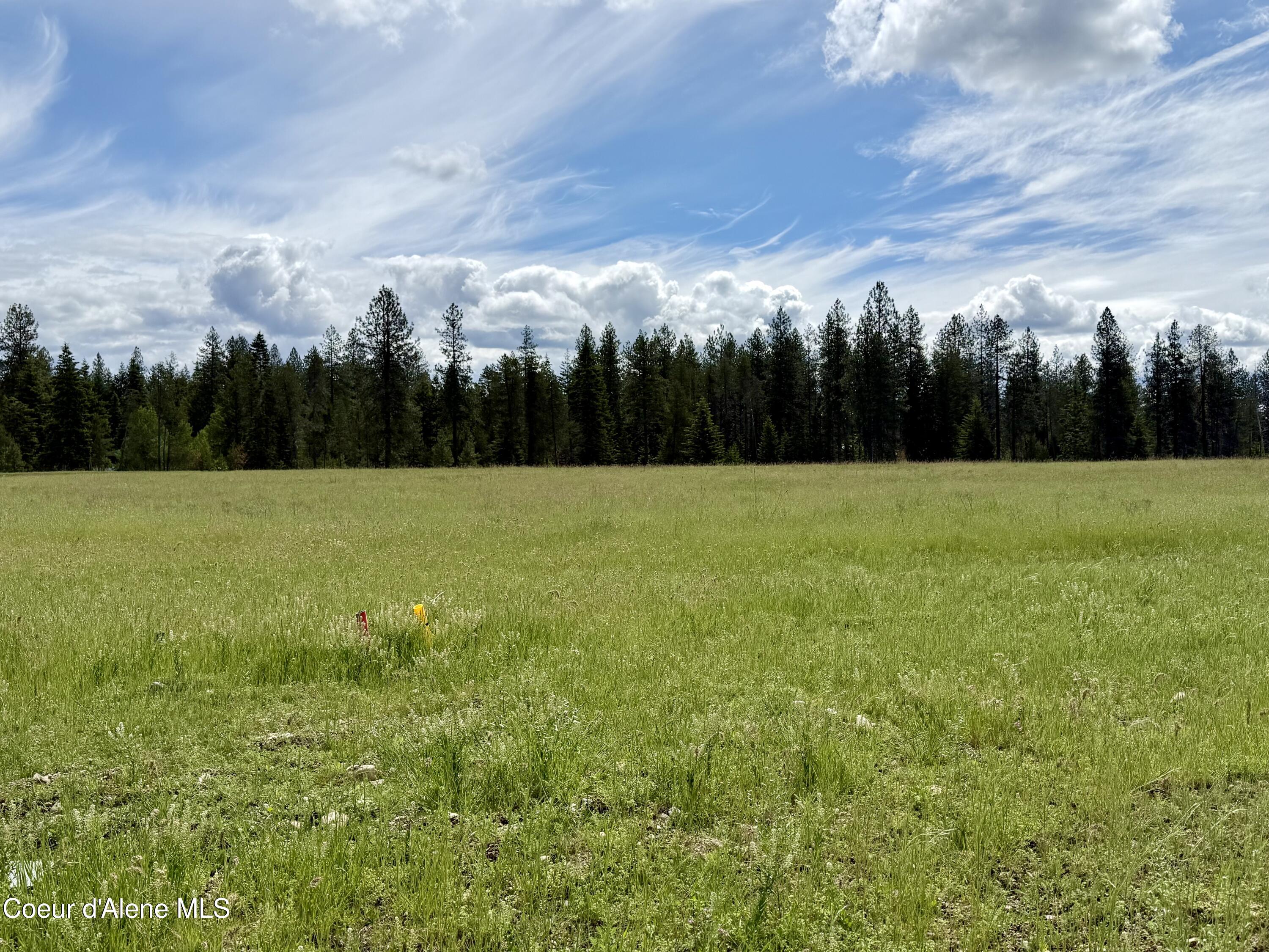 Lot 11 North Stonemason Way Rathdrum, ID 83858 - Photo 4 of 6 5 acres of usable space to personalize.