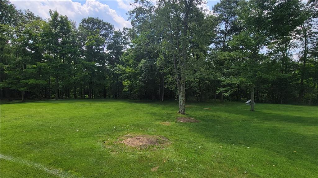 688 Crossroad School Road Garrett, PA 15542 - Photo 3 of 35 Gallery Image 3