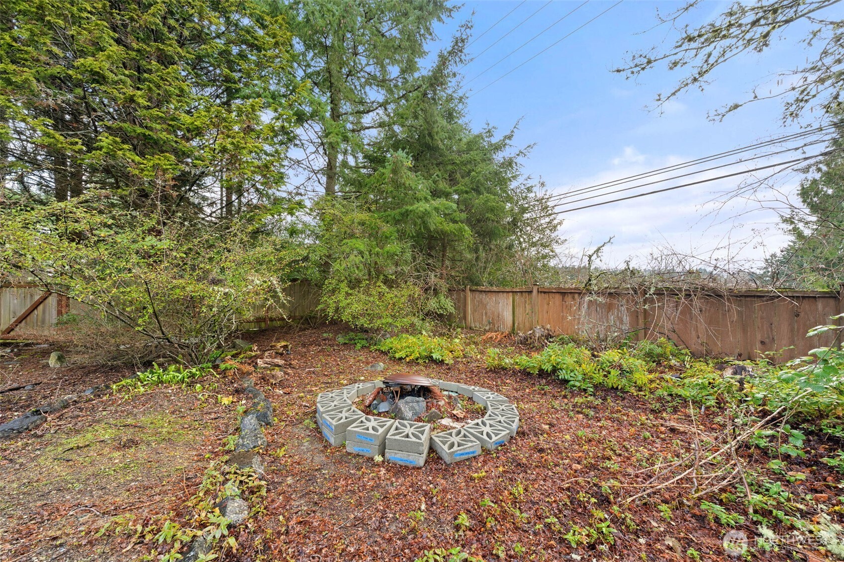 1007 Panorama Court Fircrest, WA 98466 - Photo 30 of 39 a view of a backyard with plants and a fence