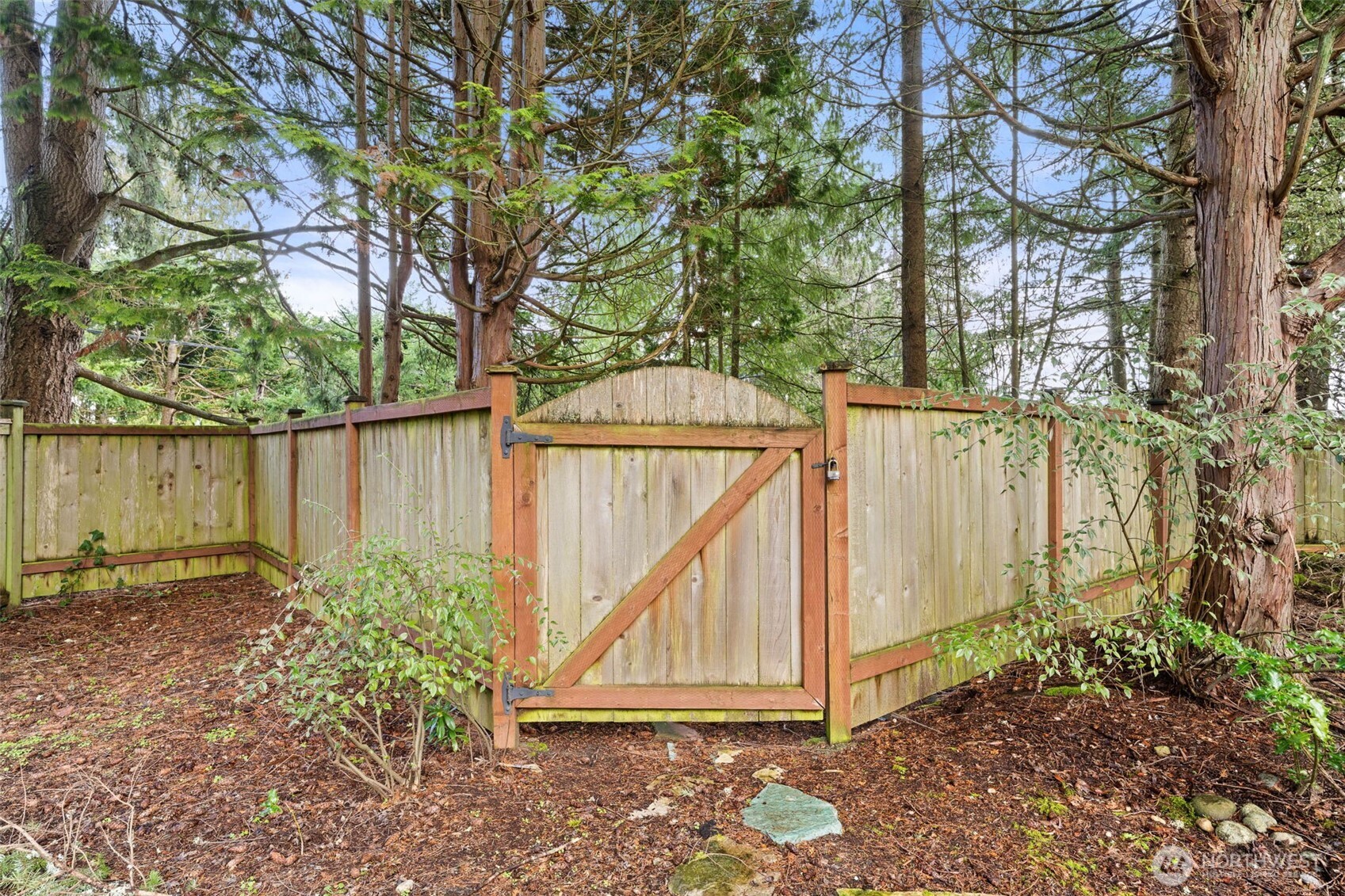 1007 Panorama Court Fircrest, WA 98466 - Photo 33 of 39 a view of a backyard