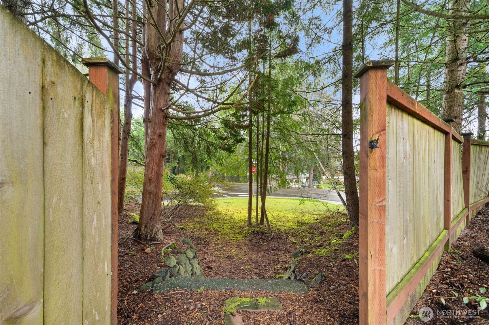 1007 Panorama Court Fircrest, WA 98466 - Photo 35 of 39 a view of a porch with a tree