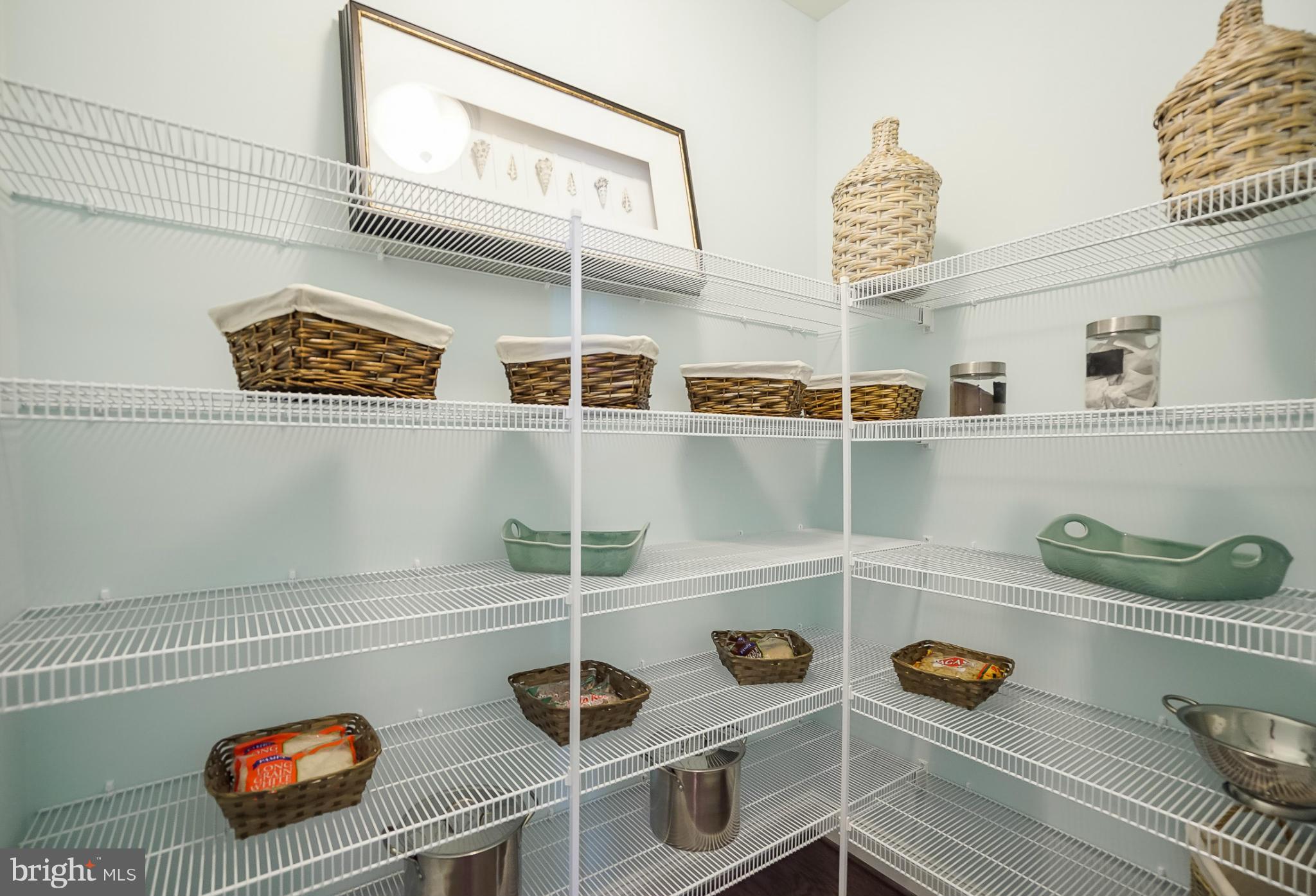 13899 Ensign Road Dowell, MD 20688 - Photo 20 of 30 Pantry Storage