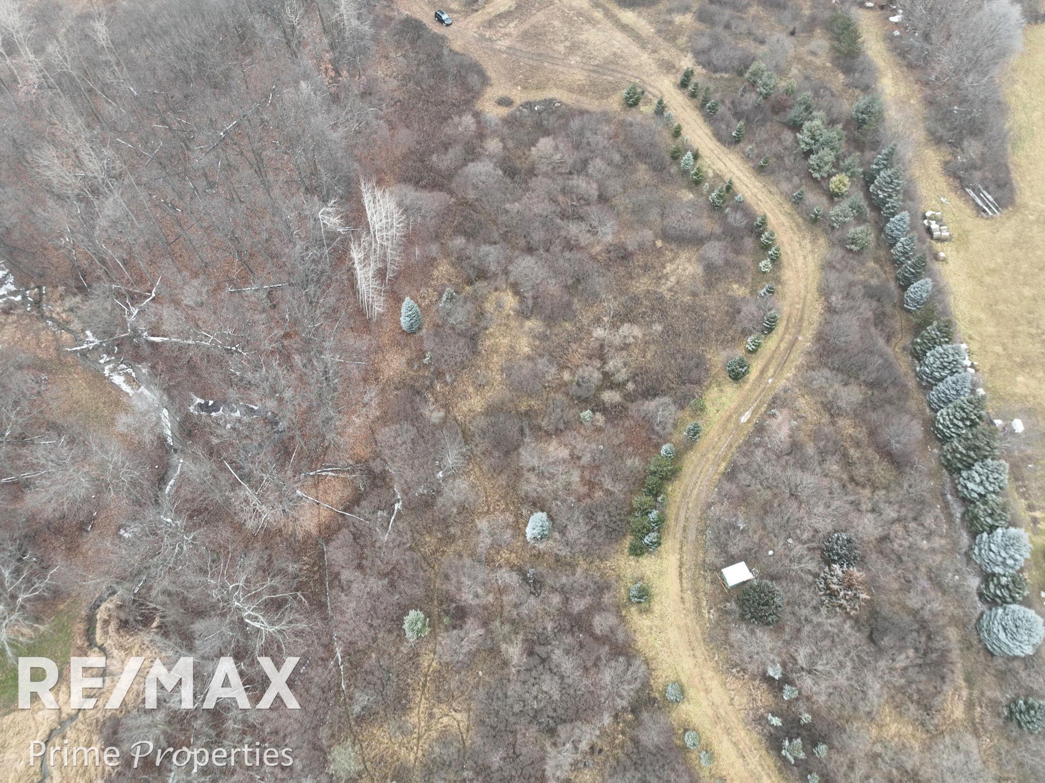 0 West Brown Road Mayville, MI 48744 - Photo 1 of 23 Gallery Image 1