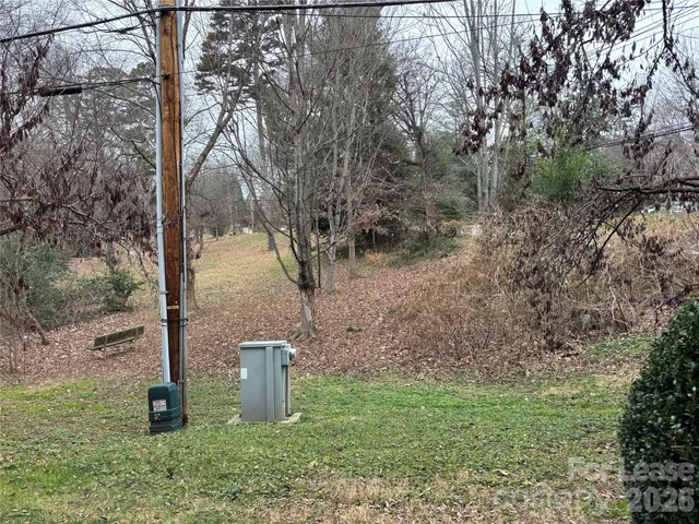 a view of a trees from a yard