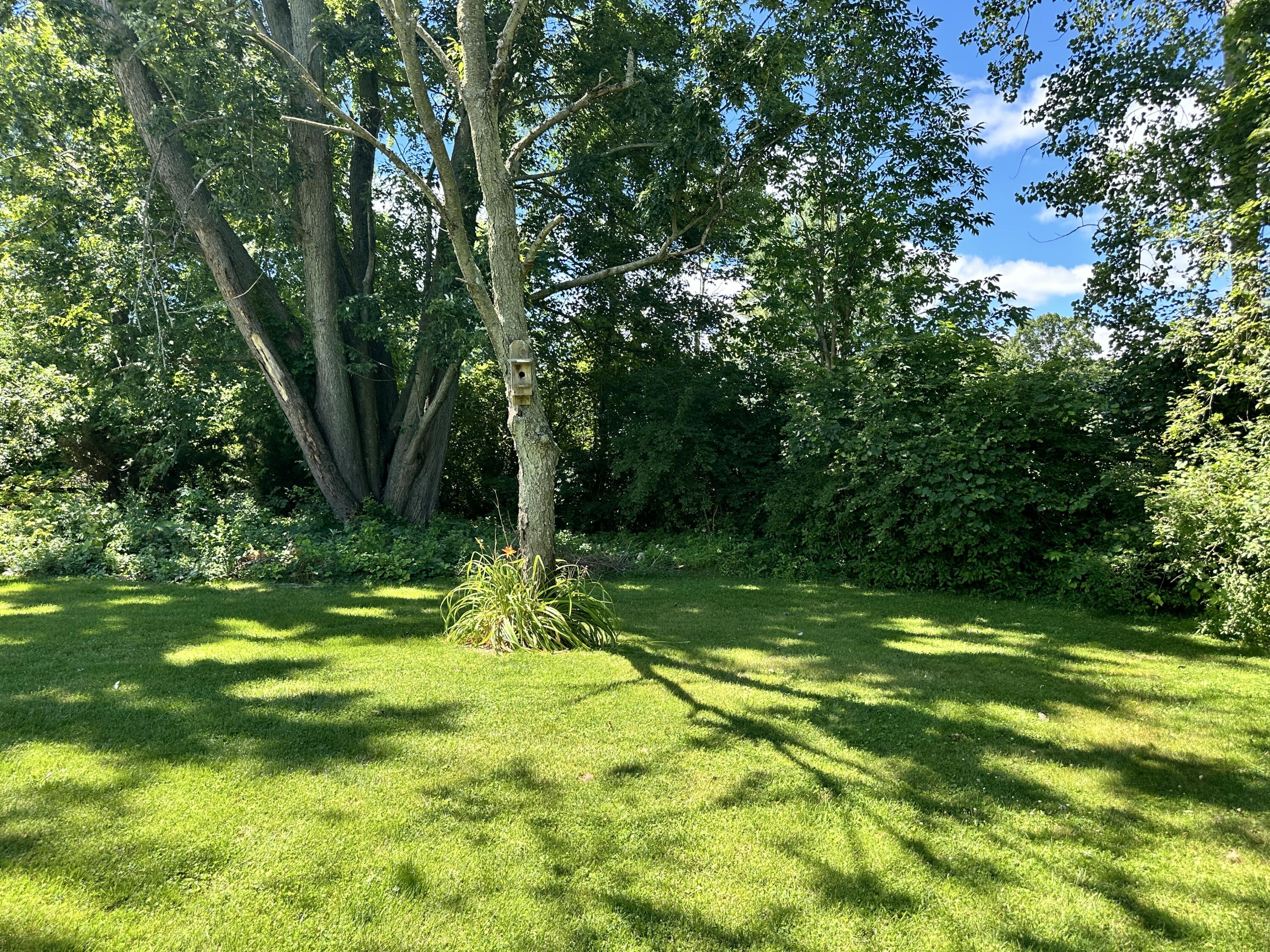 9645 Alice Hill Road Dexter, MI 48130 - Photo 12 of 35 IMG_0627