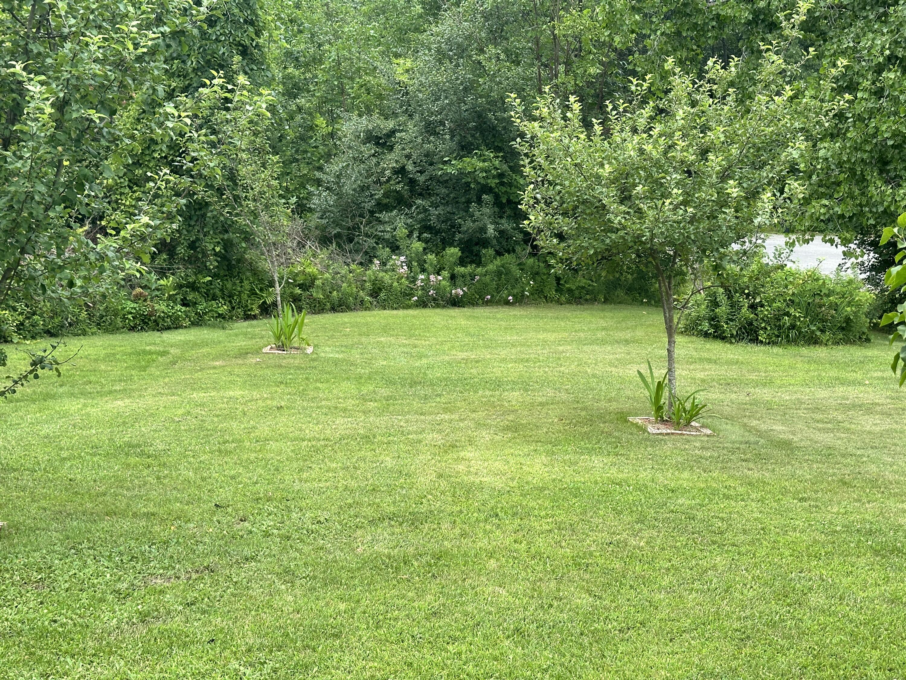 9645 Alice Hill Road Dexter, MI 48130 - Photo 34 of 35 IMG_1281