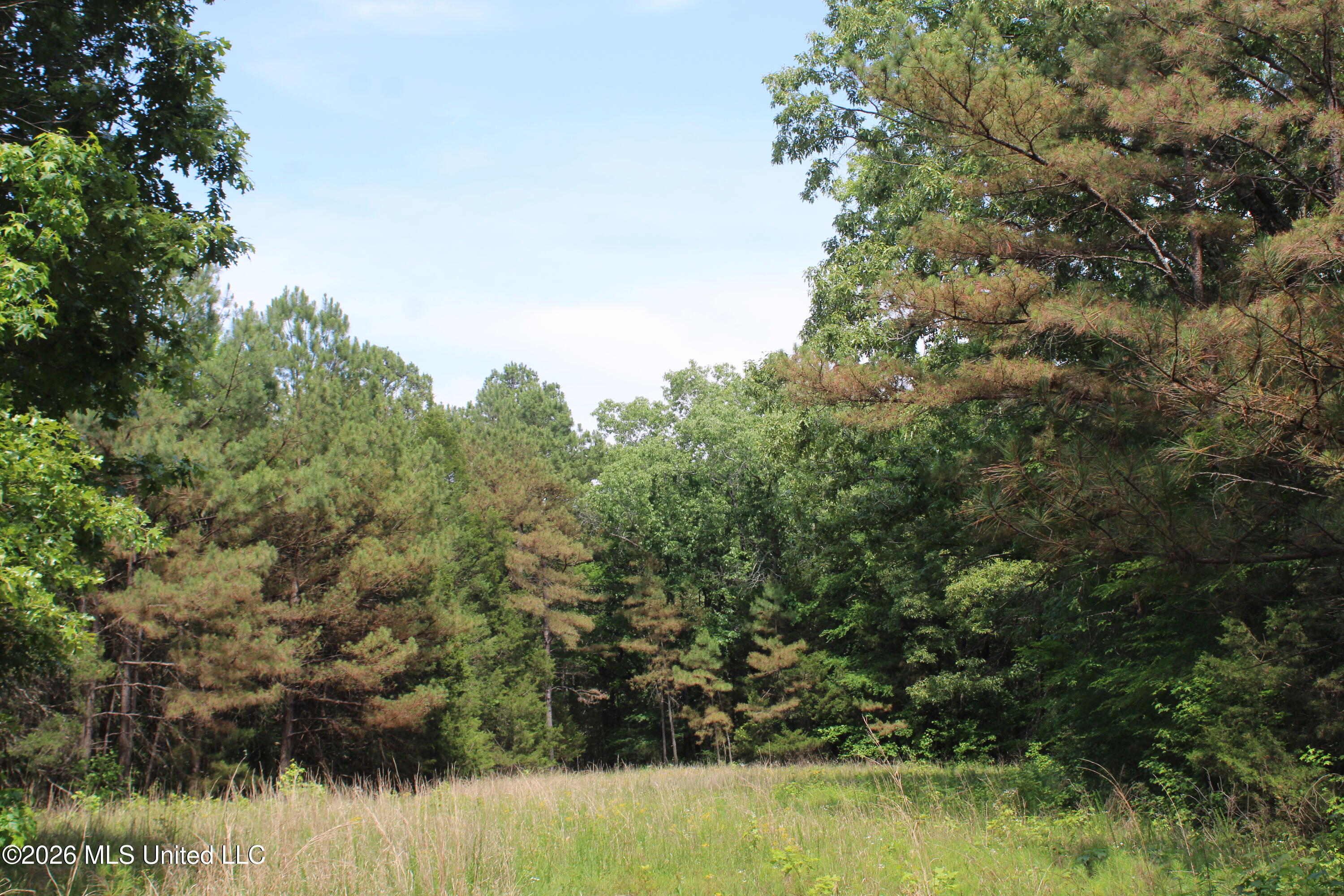 500 Boswell Road Holly Springs, MS 38635 - Photo 19 of 23 IMG_7806