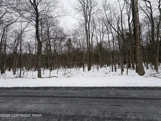 a view of a yard with trees