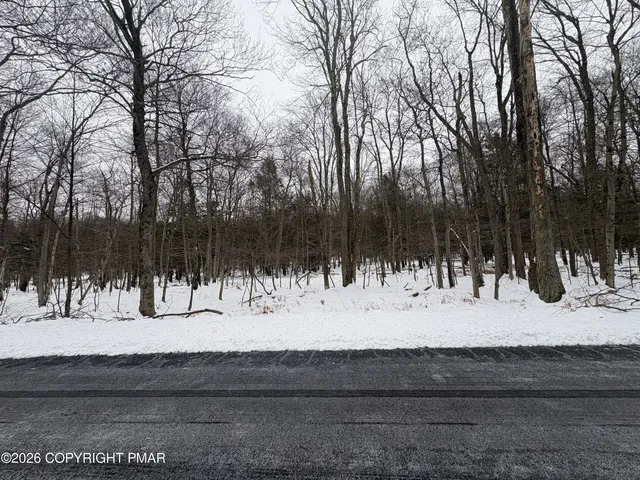 a view of a yard with large trees