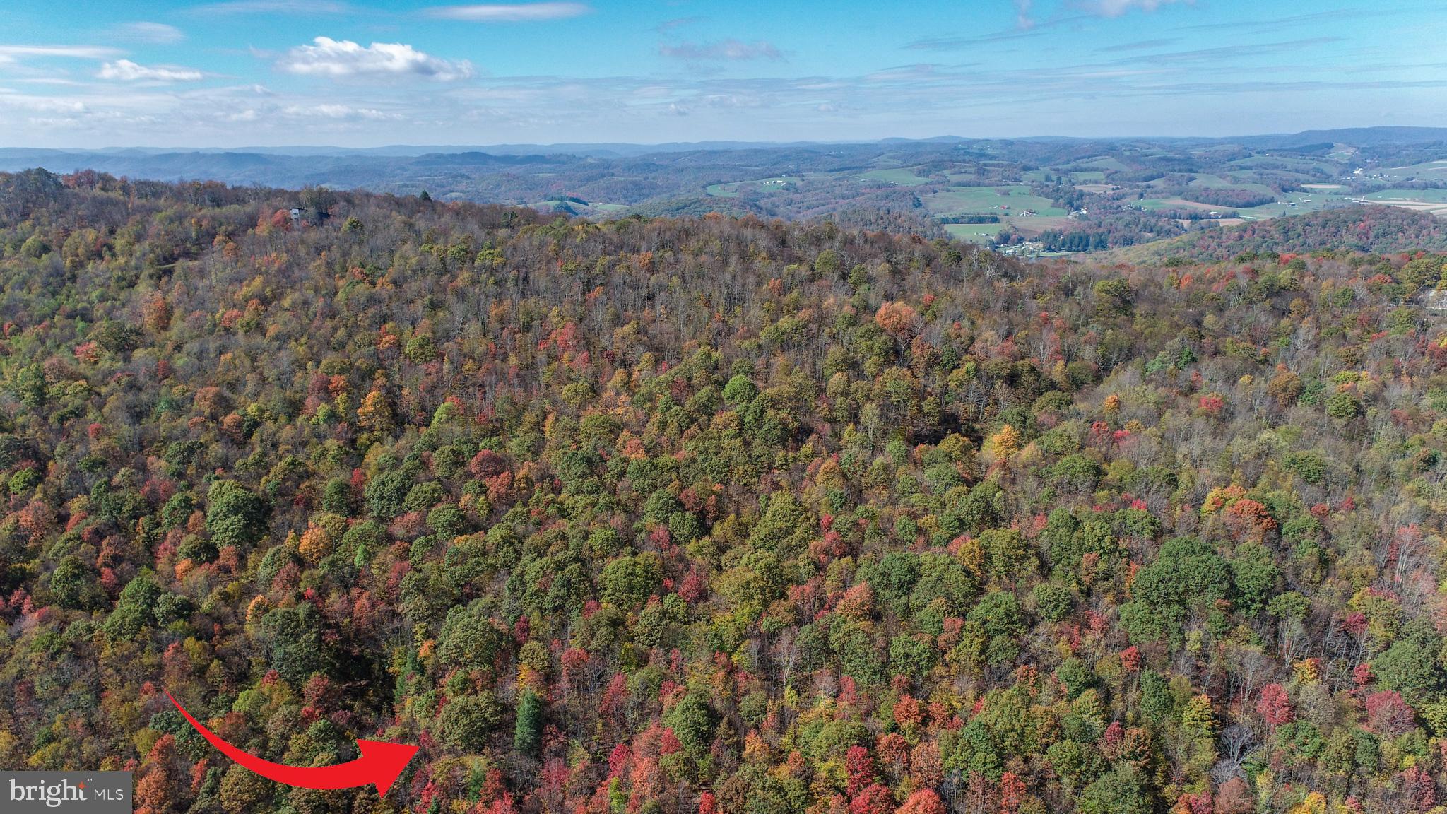 18 Hoye Crest Road Oakland, MD 21550 - Photo 2 of 9 Gallery Image 2
