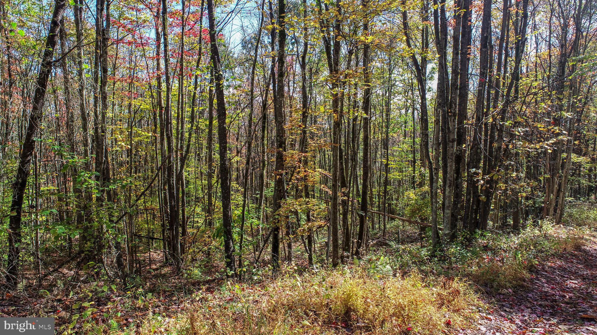 18 Hoye Crest Road Oakland, MD 21550 - Photo 4 of 9 Gallery Image 4