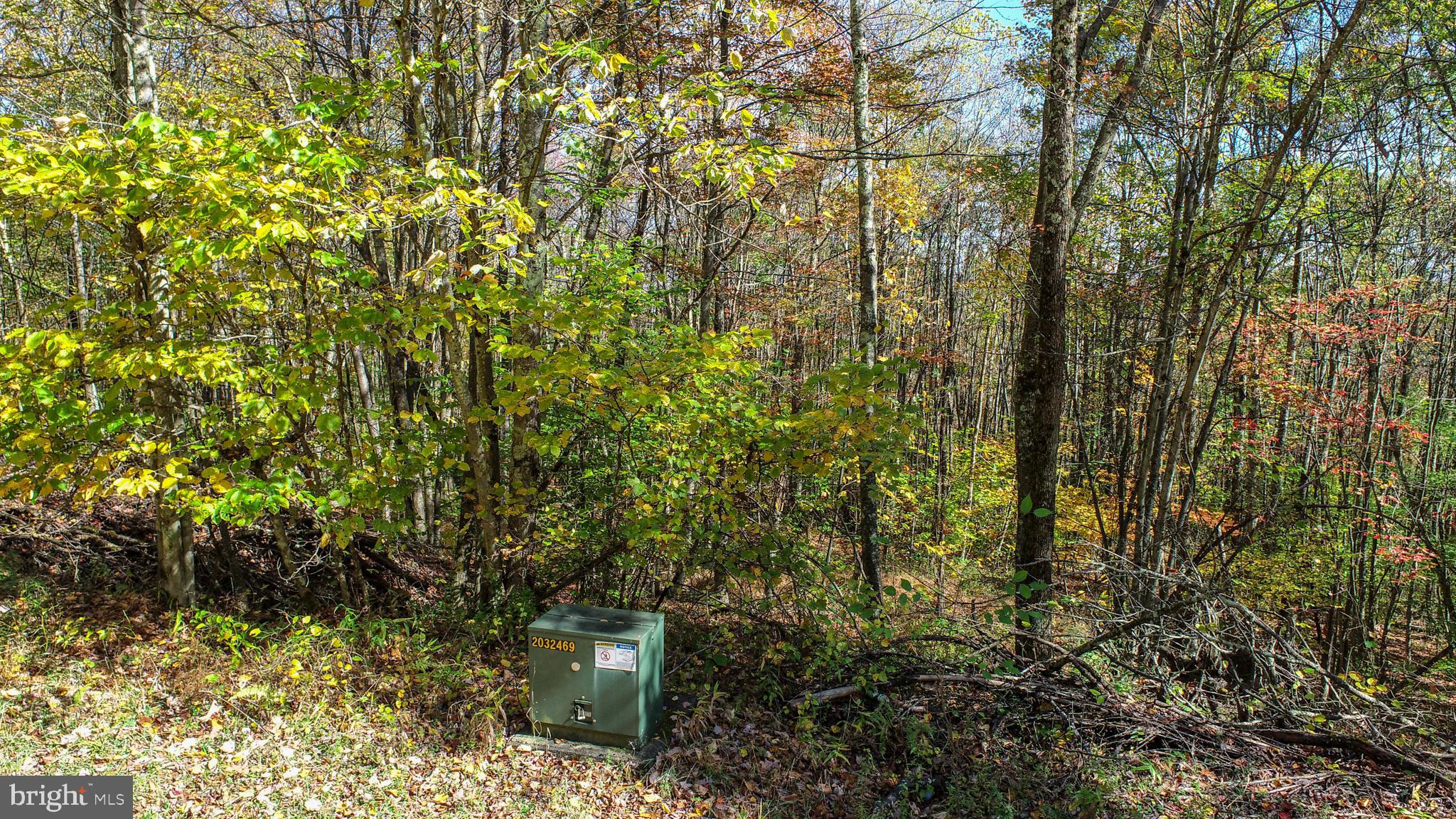18 Hoye Crest Road Oakland, MD 21550 - Photo 5 of 9 Gallery Image 5