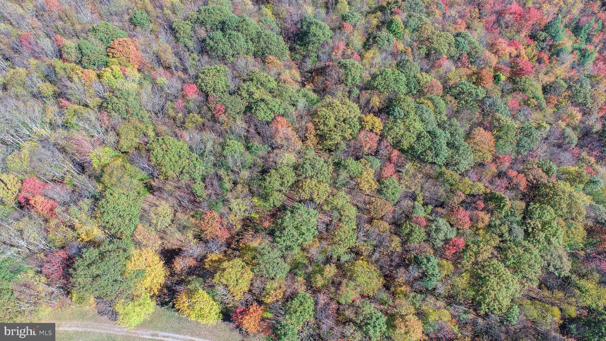 18 Hoye Crest Road Oakland, MD 21550 - Photo 7 of 9 Gallery Image 7