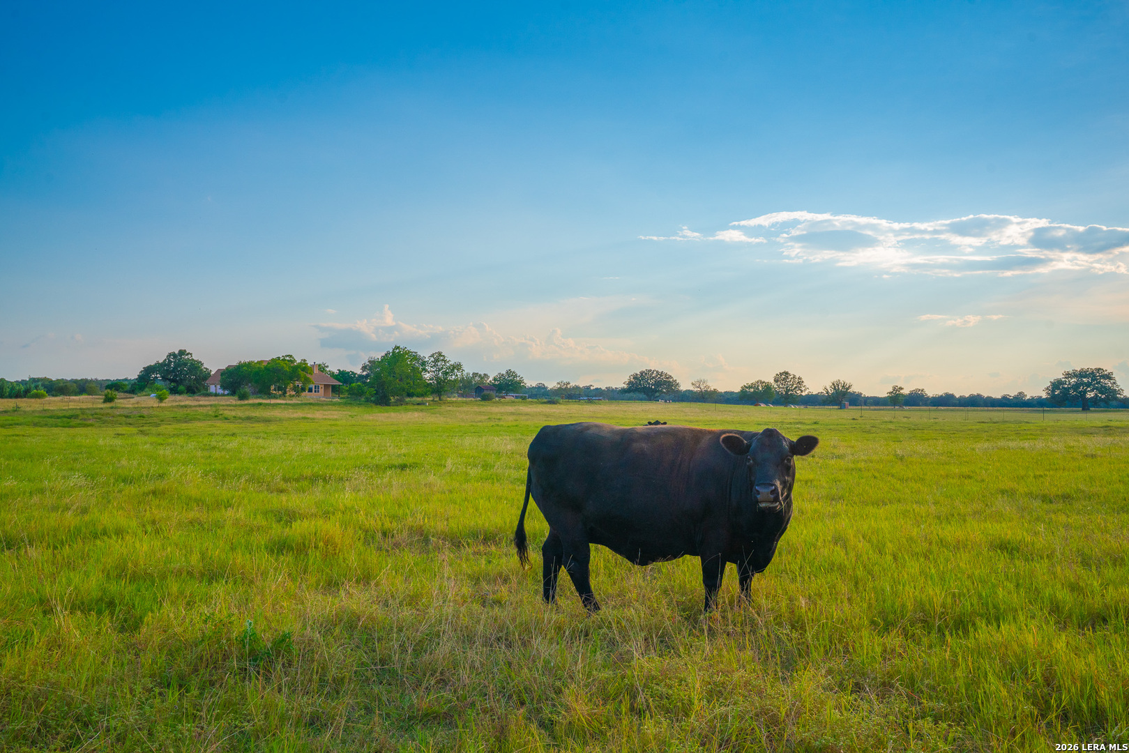 214 Marquardt Road Boerne, TX 78006 - Photo 38 of 65