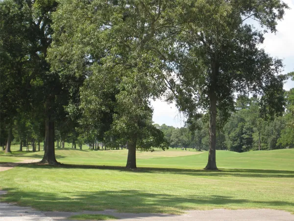 $247,000 | 119 Colorado Spruce Drive, Village Mills, TX 77663