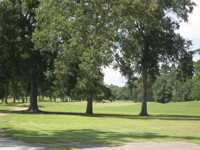 $265,000 | 119 Colorado Spruce Drive, Village Mills, TX 77663