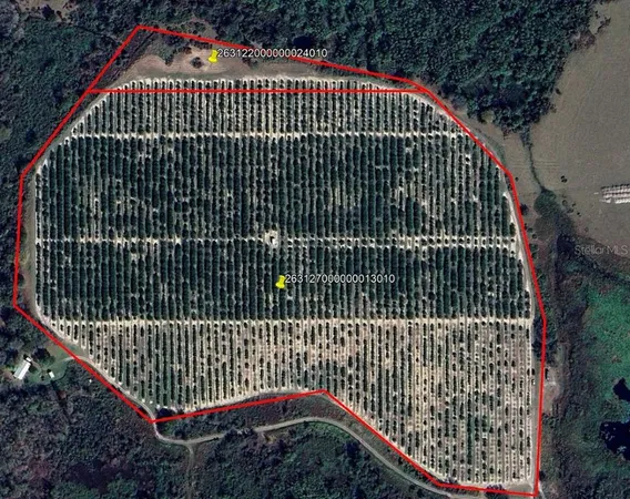 a view of a roof deck