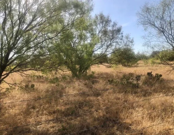 $115,000 | 266 St Gustine Tx 76455, Gustine, TX 76455